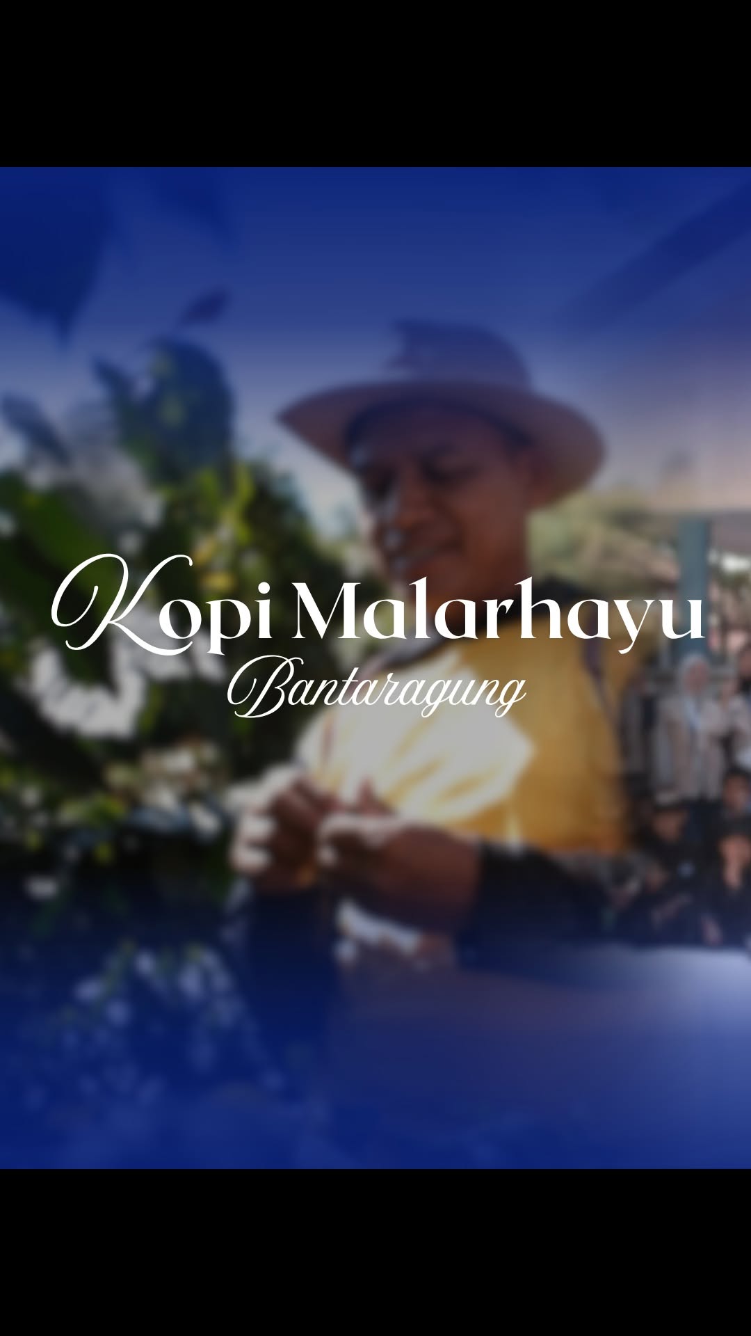 Kopi Malarhayu: Cerita di Balik Setiap Tegukan dari Tangan Petani